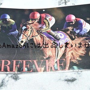 【競馬】オルフェーヴル 有馬記念ファン投票1位ver. 写真 JRA calendar