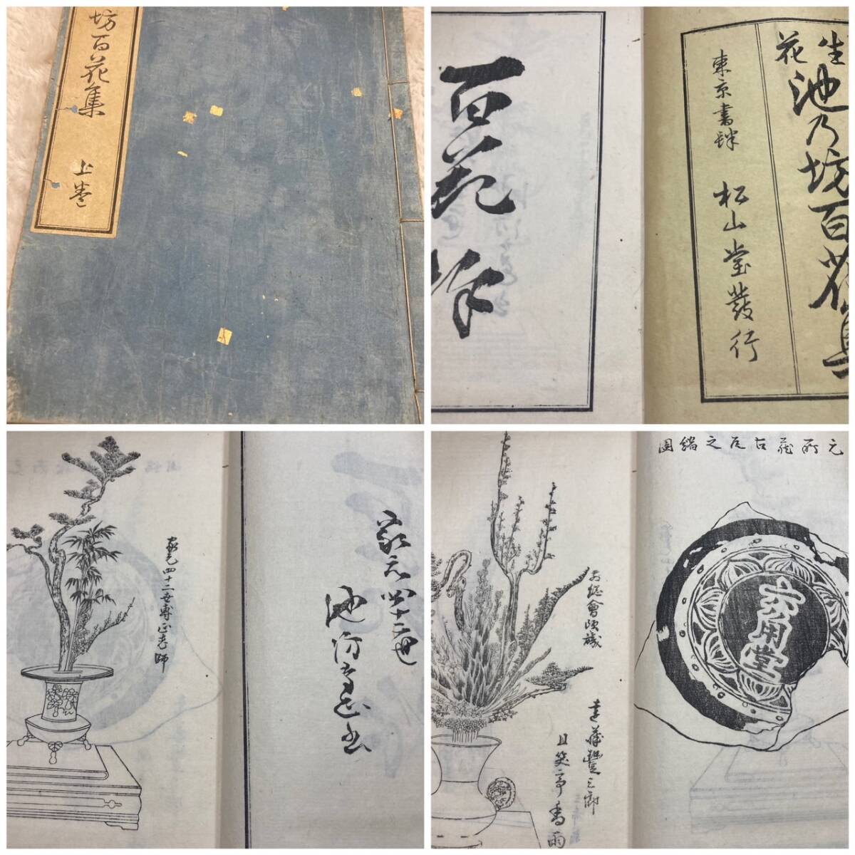 2025年最新】Yahoo!オークション -池坊 古文書の中古品・新品 2025年最新】Yahoo!オークション -池坊 古文書の中古品・新品