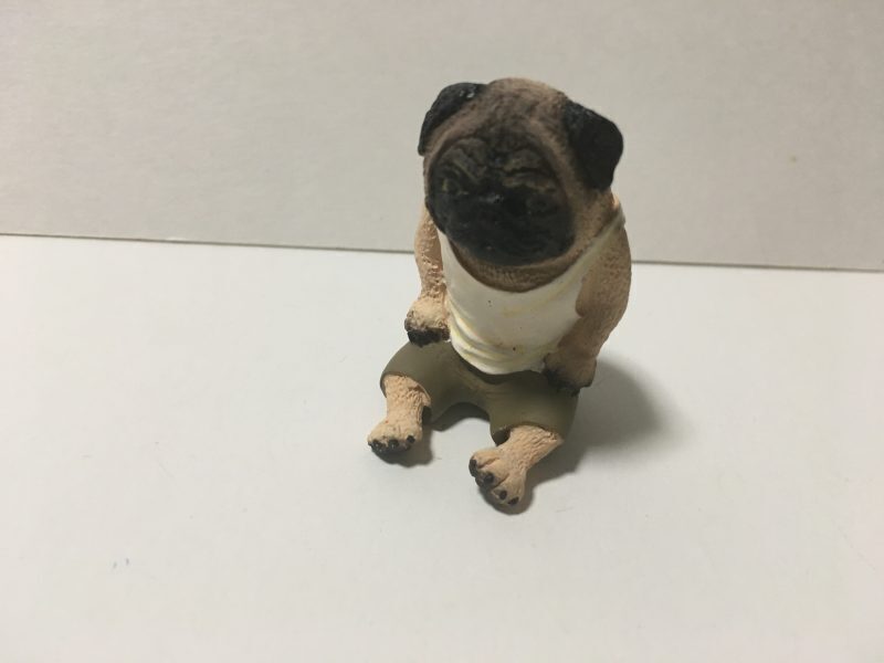 2025年最新】Yahoo!オークション -朝隈俊男犬(生き物)の中古品 2025年最新】Yahoo!オークション -朝隈俊男犬(生き物)の中古品
