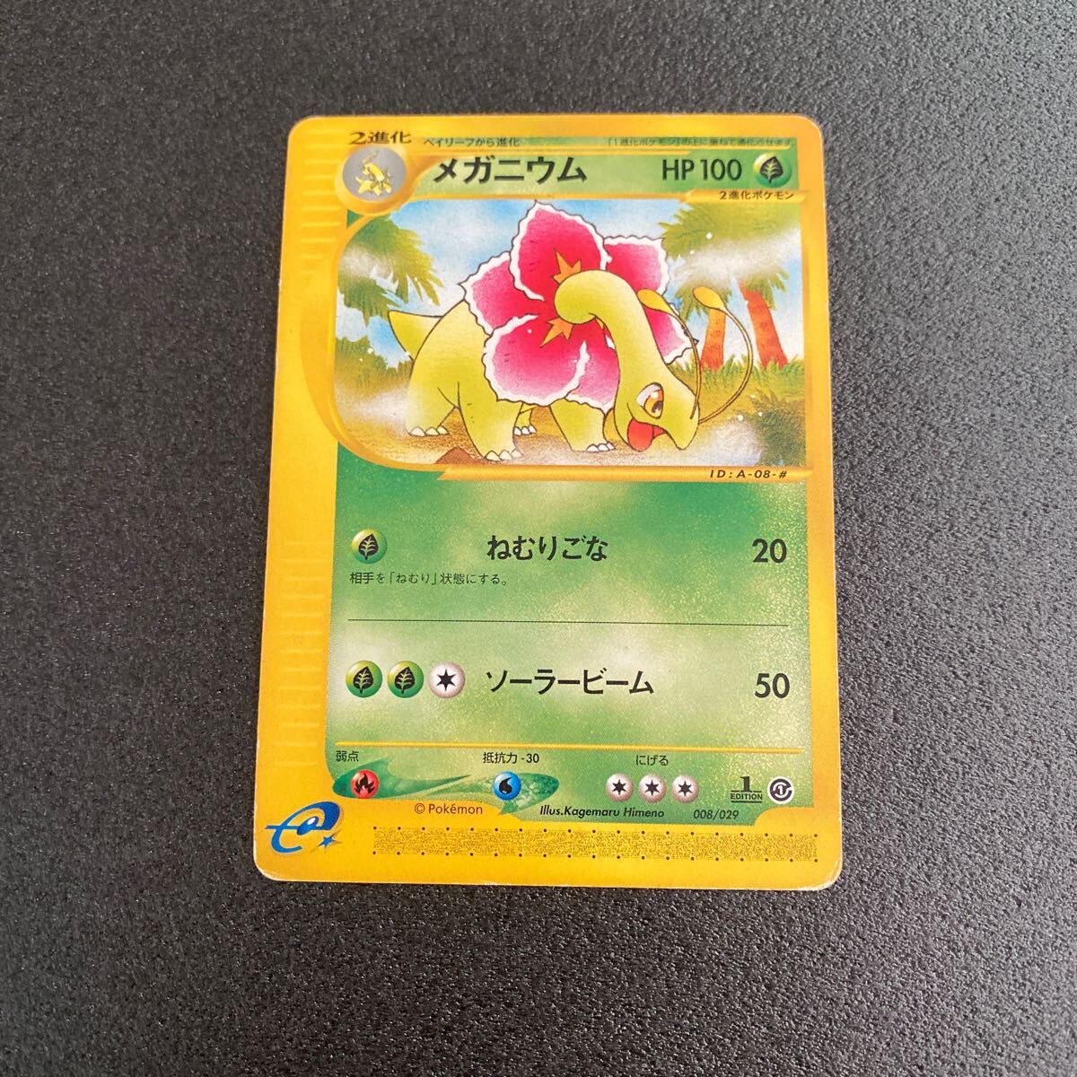 2025年最新】Yahoo!オークション -ポケモンカード メガニウムの 2025年最新】Yahoo!オークション -ポケモンカード メガニウムの