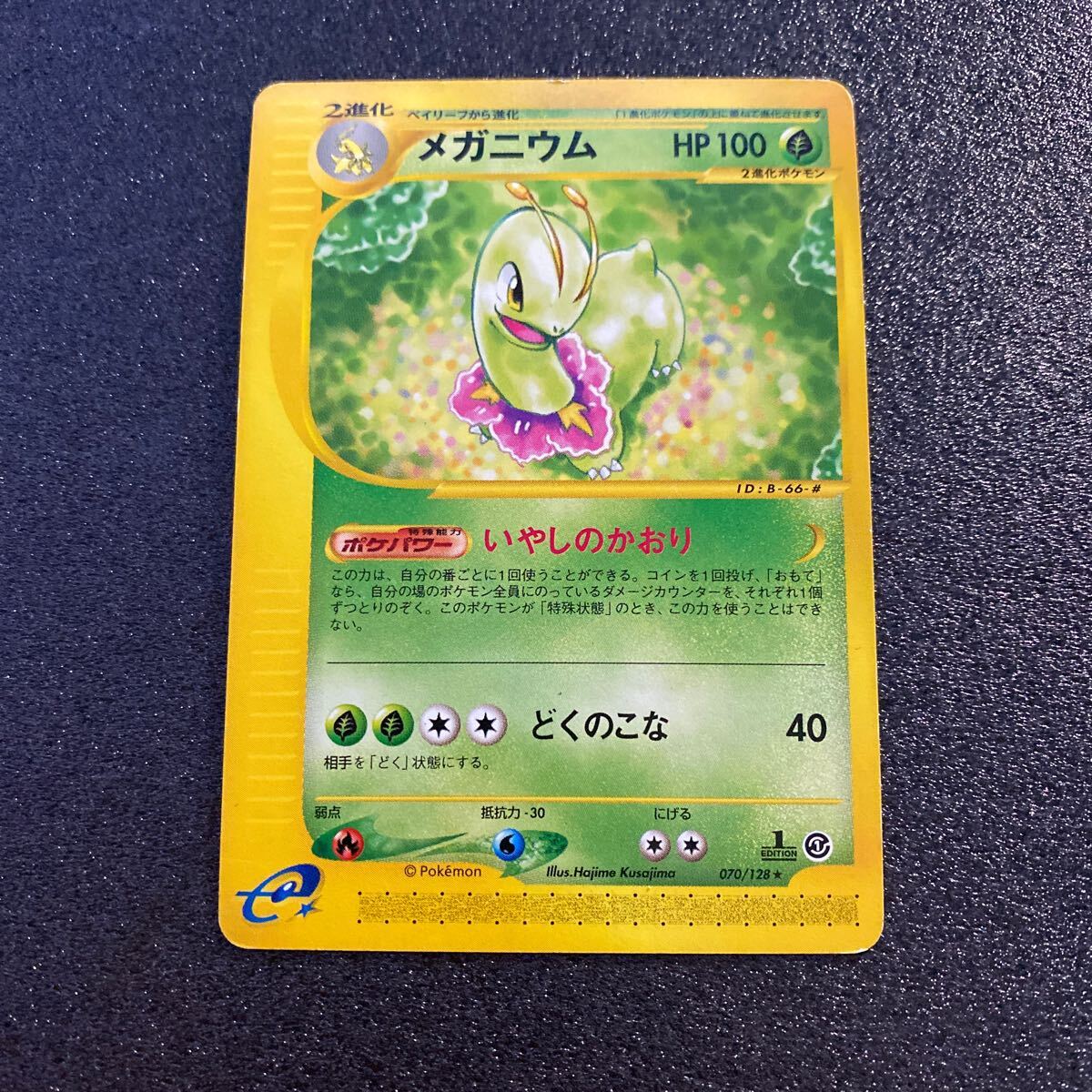 2025年最新】Yahoo!オークション -ポケモンカード メガニウムの 2025年最新】Yahoo!オークション -ポケモンカード メガニウムの