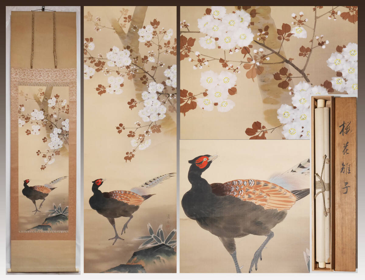 美品 掛け軸 市原秀人作「春囀」桜花鳥 共箱 太巻き付