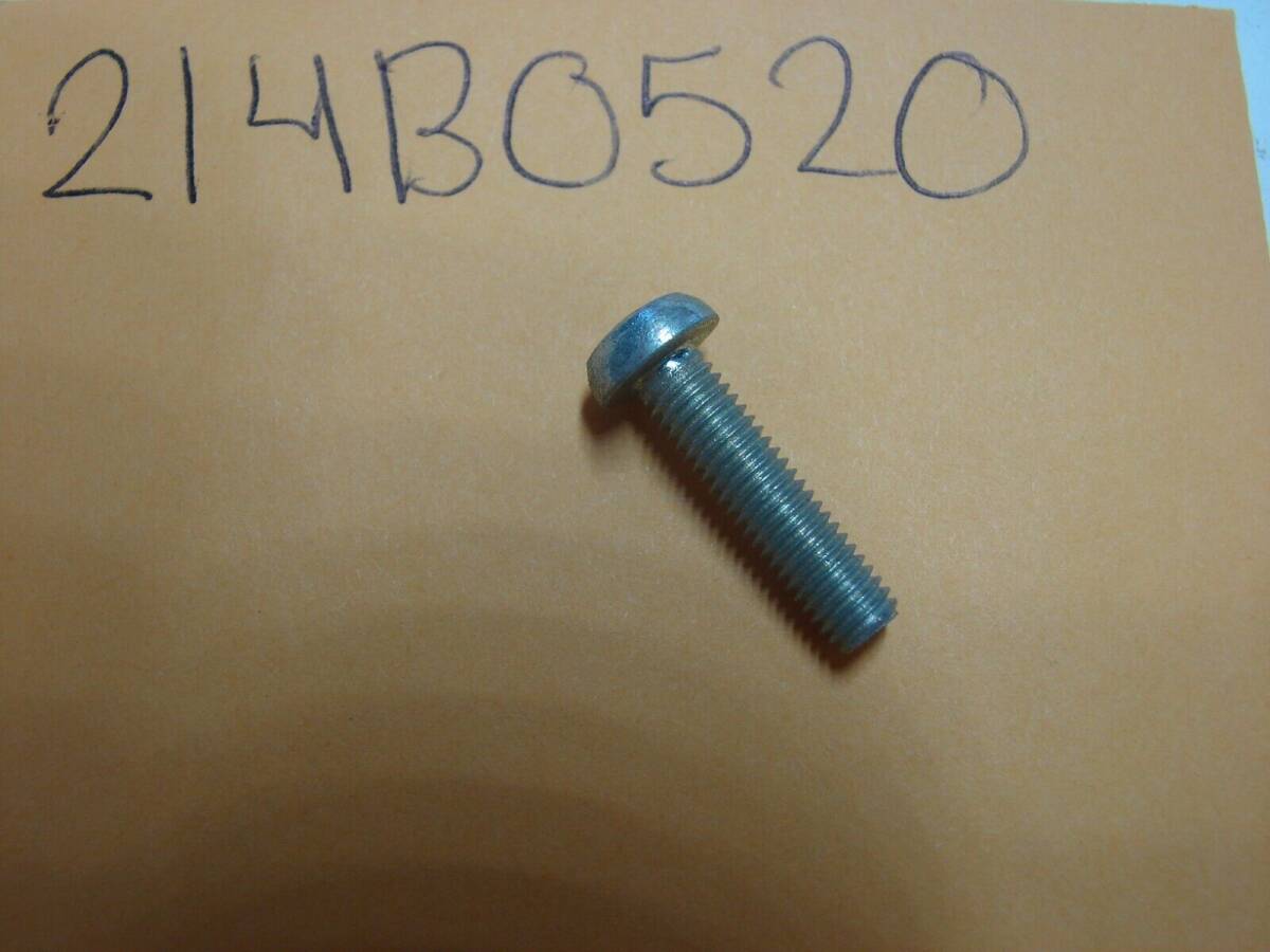 NOS KAWASAKI PAN HEAD SCREW 214BO520 NEW OEM 海外 即決