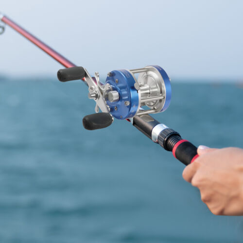 Baitcasting Fishing Reel Conventional Reel For Catfish Round Baitcasting Reel US 海外 即決