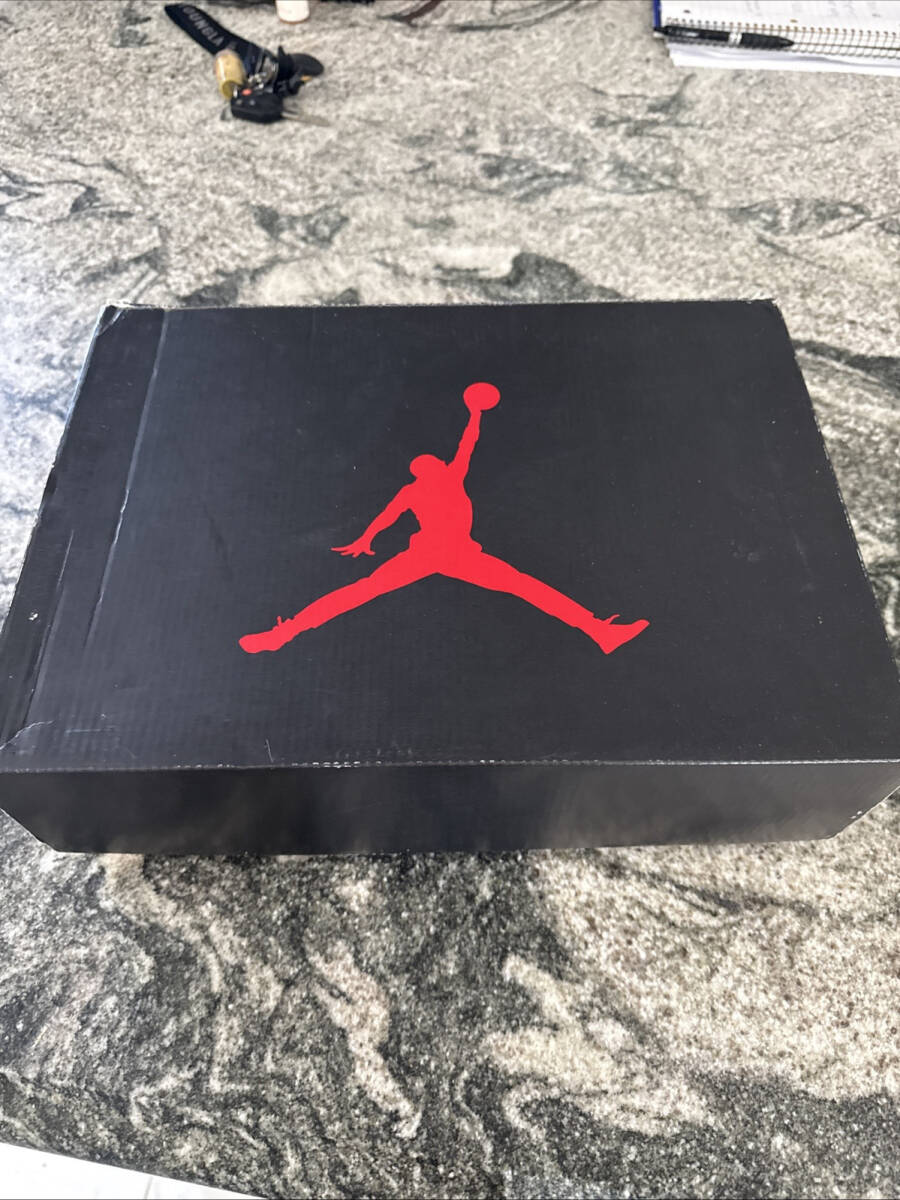 Used Jordan 5 Grapes Alt 海外 即決