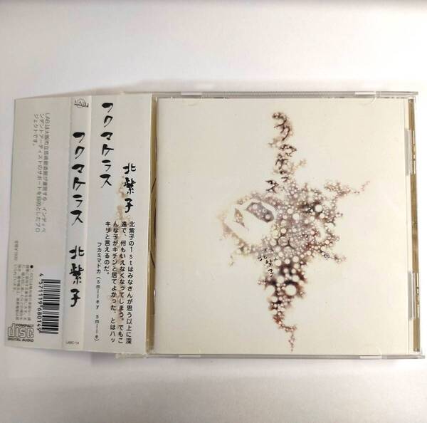 北紫子 (北村早樹子) - フクマケラス /フォーク,柴田聡子,青葉市子,飯田華子