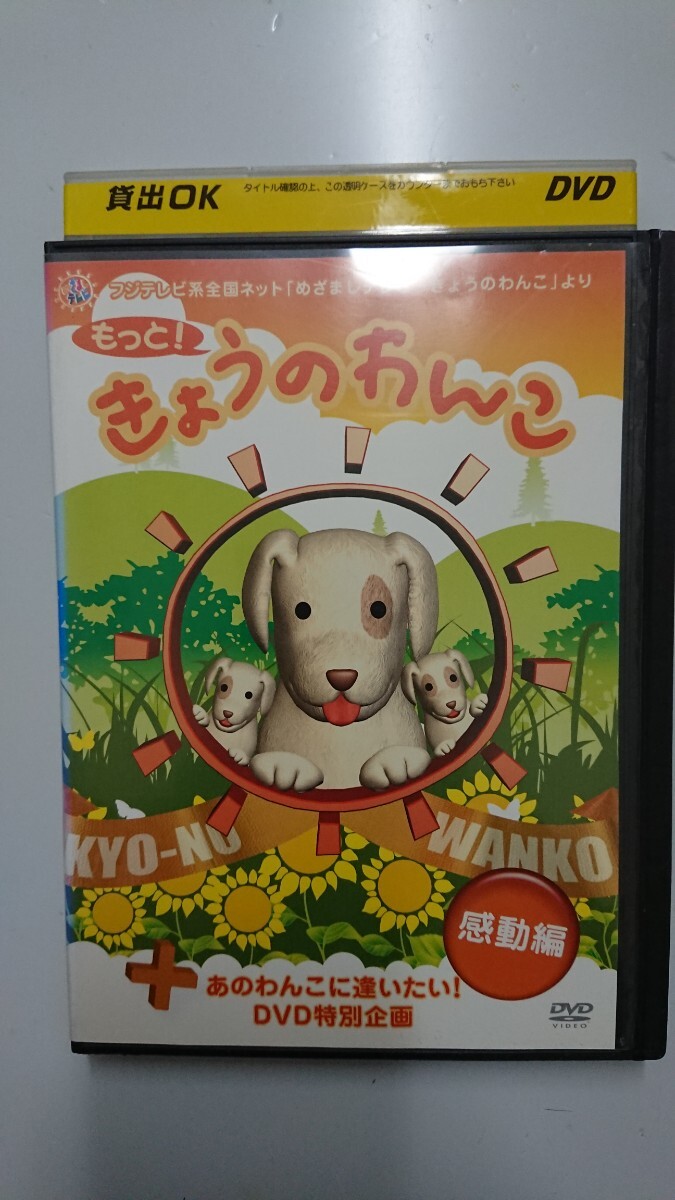 2025年最新】Yahoo!オークション -きょうのわんこ dvdの中古品