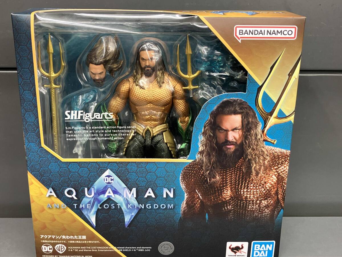 S.H.Figuarts アクアマン（アクアマン／失われた王国） | 魂ウェブ