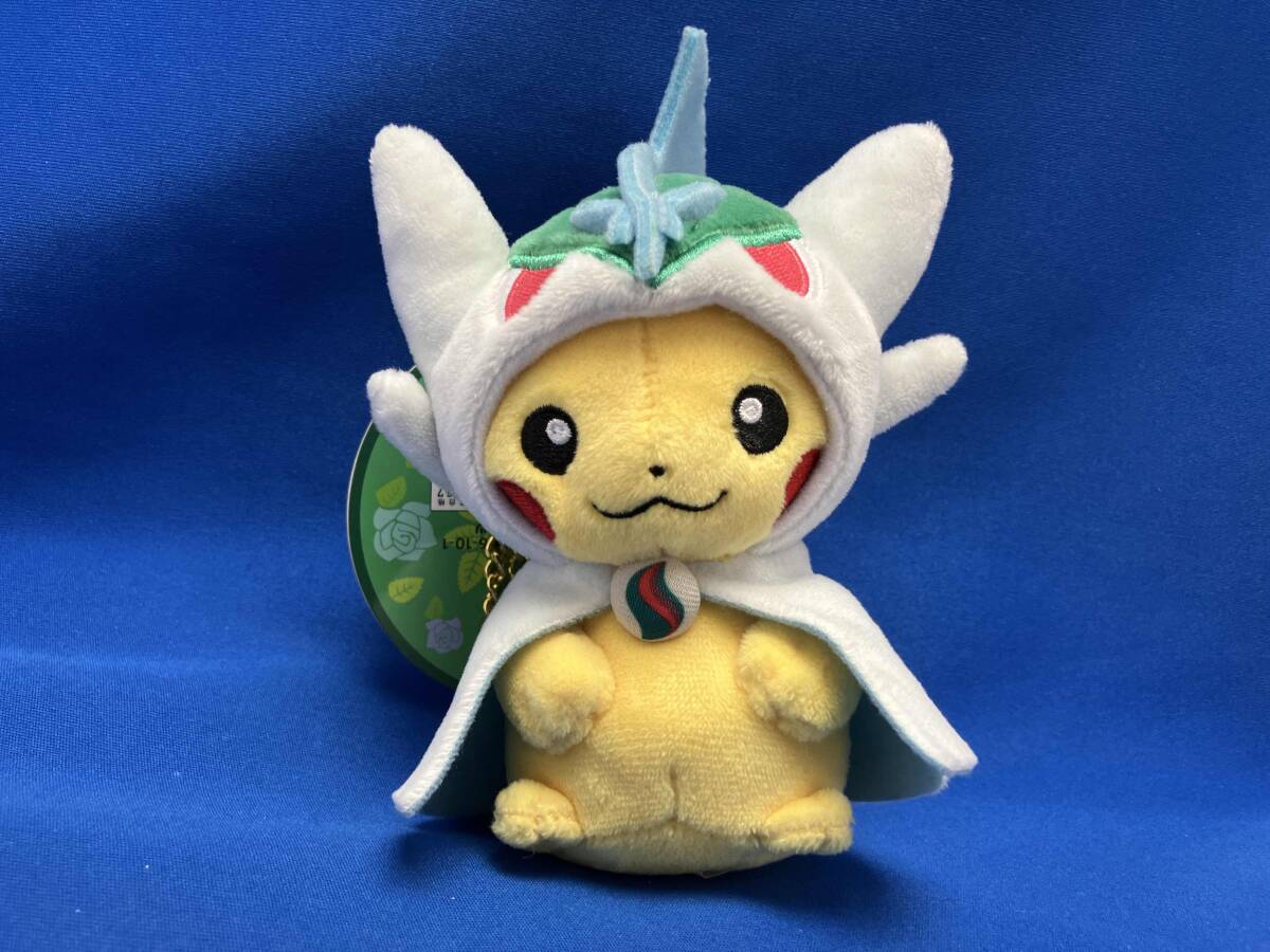 ぬいぐるみ メガエルレイドのポンチョを着たピカチュウ