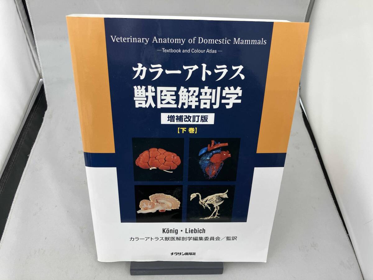 2025年最新】Yahoo!オークション -解剖学カラーアトラスの中古品 2025年最新】Yahoo!オークション -解剖学カラーアトラスの中古品