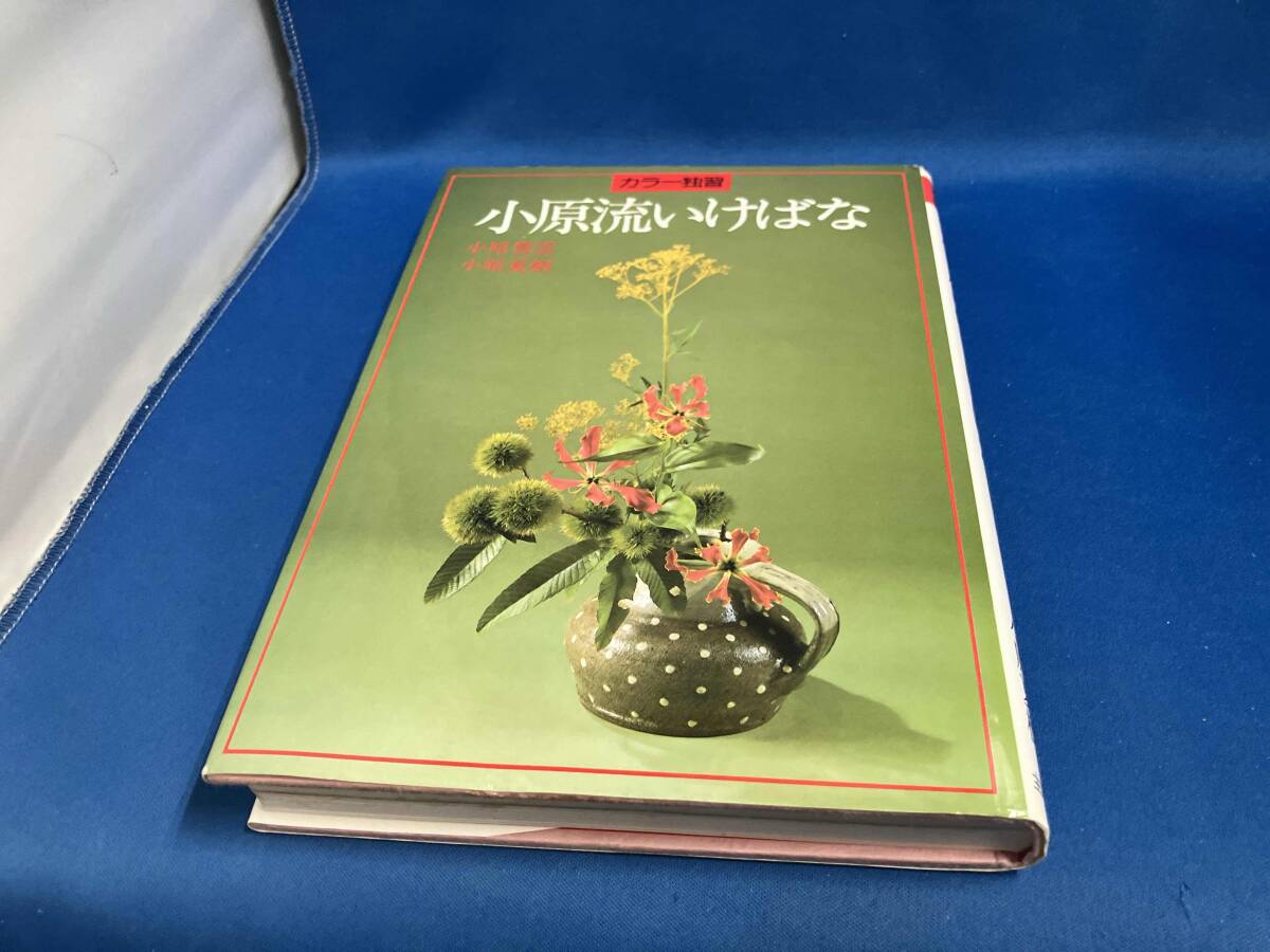 2025年最新】Yahoo!オークション -小原流いけばな(本、雑誌)の 2025年最新】Yahoo!オークション -小原流いけばな(本、雑誌)の