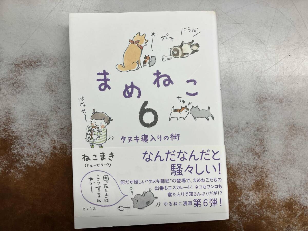 2025年最新】Yahoo!オークション -まめねこ(本、雑誌)の中古品 2025年最新】Yahoo!オークション -まめねこ(本、雑誌)の中古品