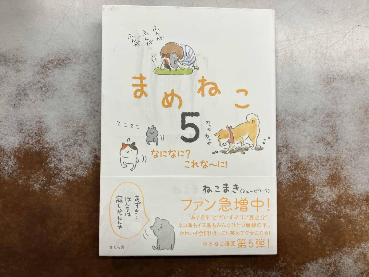 2025年最新】Yahoo!オークション -まめねこ(本、雑誌)の中古品 2025年最新】Yahoo!オークション -まめねこ(本、雑誌)の中古品