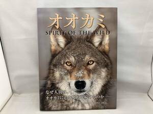 オオカミ SPIRIT OF THE WILD トッド・K.フラー
