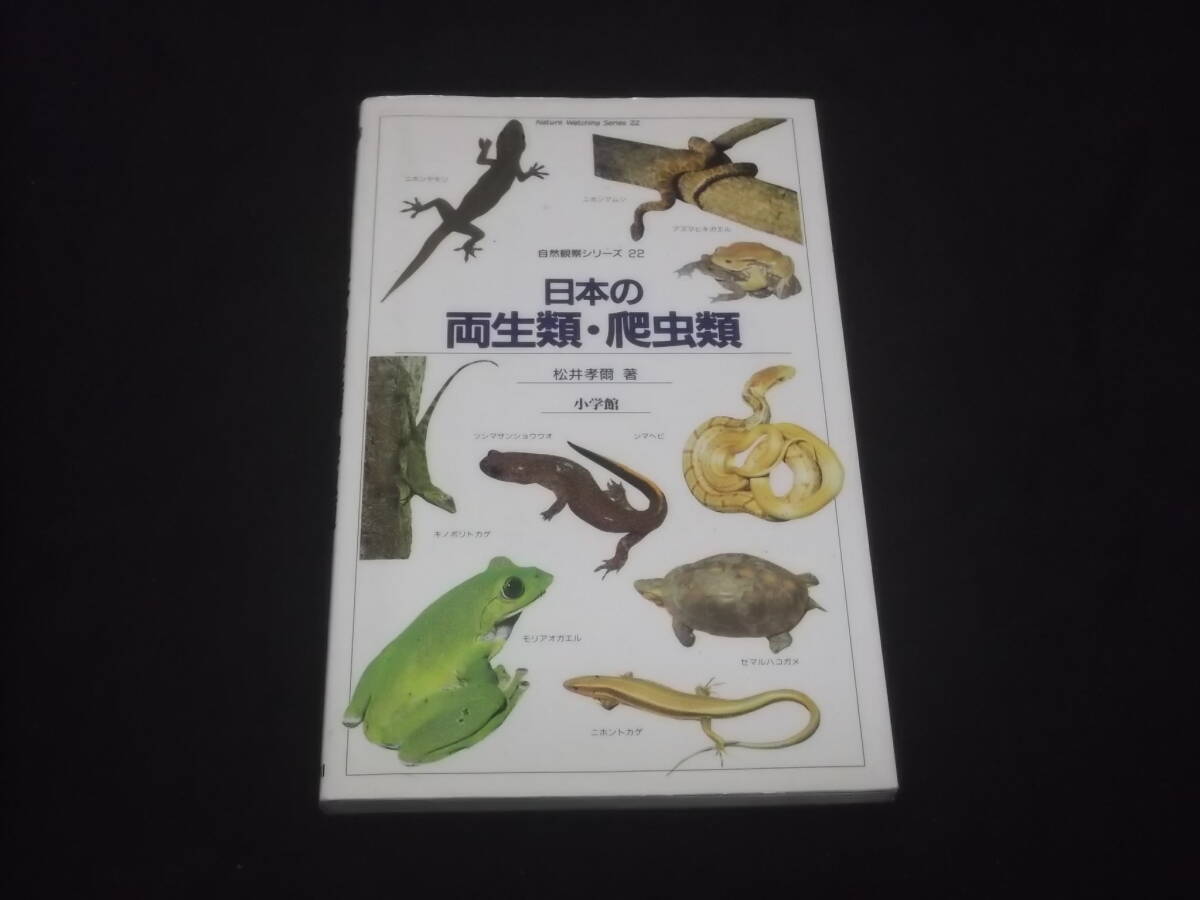 2025年最新】Yahoo!オークション -日本カエル図鑑(本、雑誌)の 2025年最新】Yahoo!オークション -日本カエル図鑑(本、雑誌)の