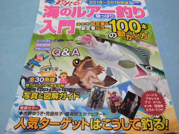 【 送料無料 】■即決■☆釣れる! 海のルアー釣り 陸っぱり 入門 2018~2019年版