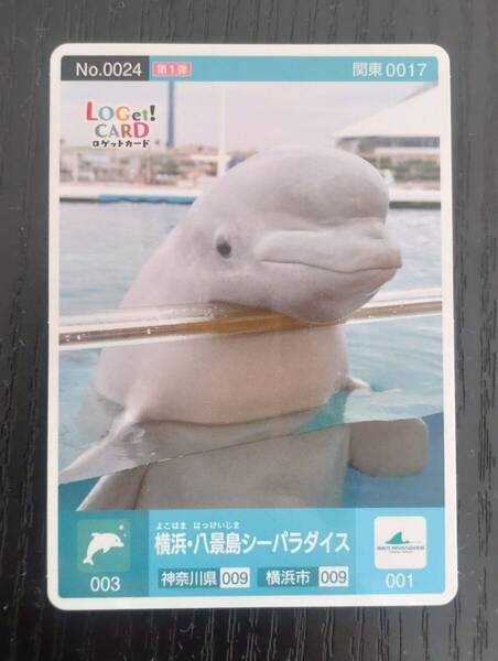 ロゲットカード 第1弾 横浜 八景島シーパラダイス No.0024(関東0017) 水族館 イルカ