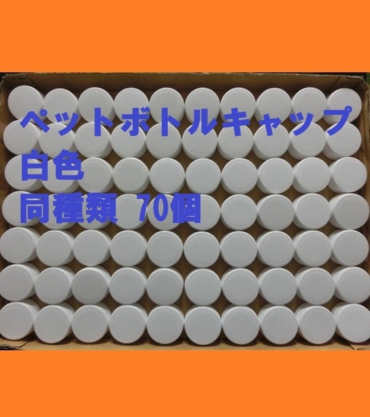 ■即決■送料無料■ペットボトルキャップ■同種類■白色(表裏・無地)70個■アート・工作・DIY・キャップ投げ・ゲーム・ハンドメイド■②