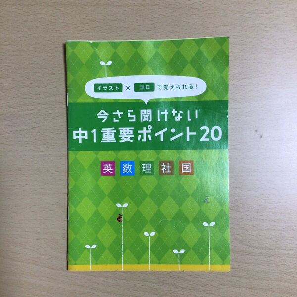 ☆【進中A5-14】進研ゼミ 中学講座『イラストゴロで覚えられる! 今さら聞けない 中1重要ポイント20』 英 数 理 社 国 ベネッセ