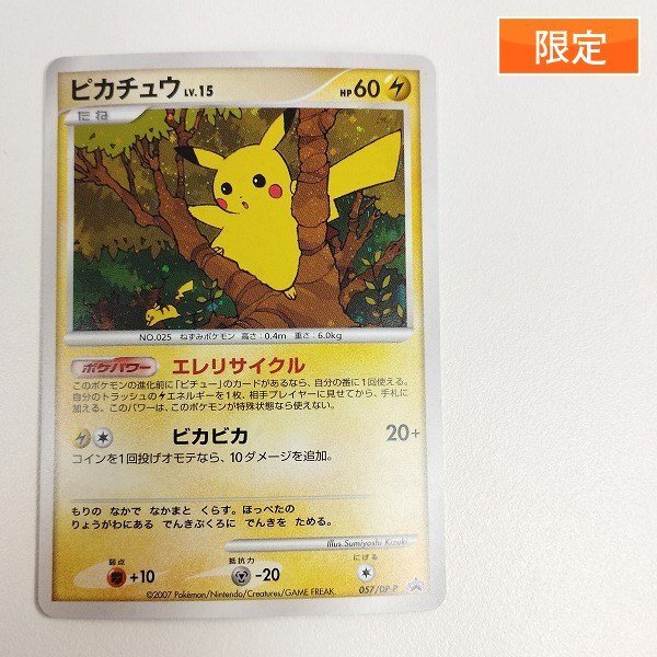 Yahoo!オークション -「ポケモンカード ピカチュウ 15」の落札 Yahoo!オークション -「ポケモンカード ピカチュウ 15」の落札