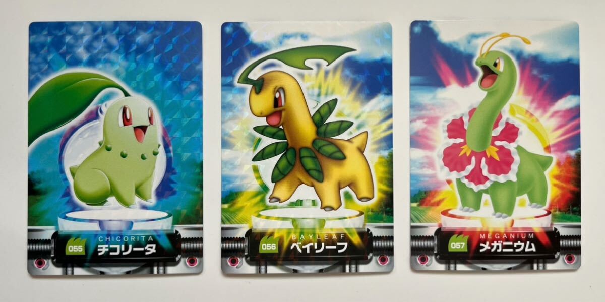 2025年最新】Yahoo!オークション -ポケモンカード チコリータの 2025年最新】Yahoo!オークション -ポケモンカード チコリータの