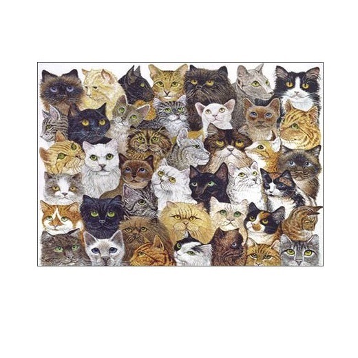 パット・スコット PAT SCOTT 猫の髭 スイス 製 ポストカード グリーティングカード 絵はがき ねこ 猫 ネコ パタミン 小物 雑貨