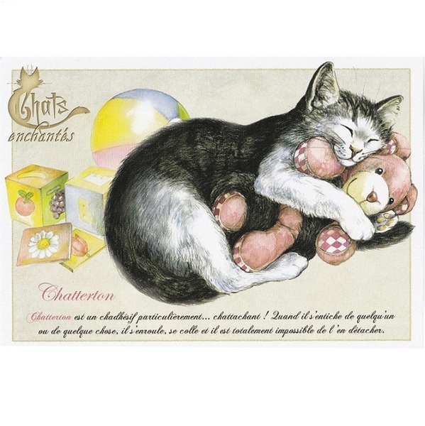 セブリーヌキャット フランス 製 ポストカード セブリーヌ・ピノー Chats enchant`es サバトラ 猫 ねこ 猫 ネコ 絵はがき 小物 パタミン