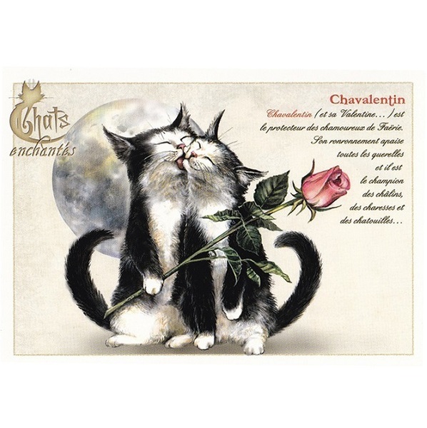 セブリーヌキャット フランス 製 ポストカード セブリーヌ・ピノー Chavalentin バラ ねこ 猫 ネコ 絵はがき 雑貨 小物 パタミン