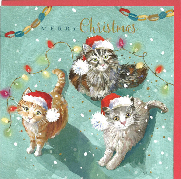 クリスマス 3匹の猫 グリーティングカード イギリス 製 ポストカード クリスマスカード 絵はがき ねこ ネコ 猫 雑貨 小物 パタミン