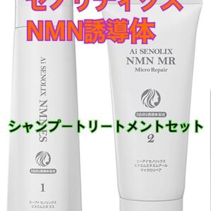 Ai セノリックスNMN ES シャンプー MR ヘアトリートメント セノリティクス アースジャパン アイテック 生命科学研究所 マトリックスエキス