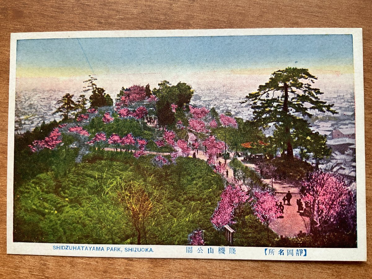 2025年最新】Yahoo!オークション -静岡市 写真の中古品・新品 2025年最新】Yahoo!オークション -静岡市 写真の中古品・新品