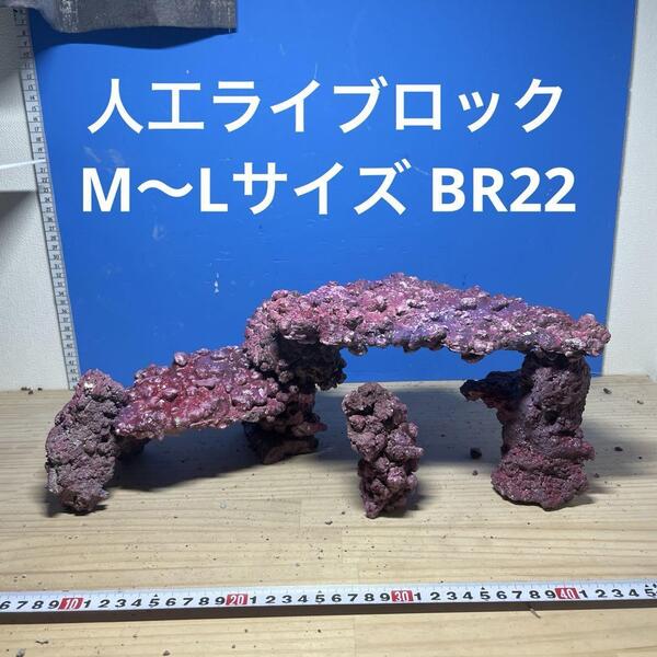 人工ライブロック M〜Lサイズ BR22 アク抜き済み安心塗料使用