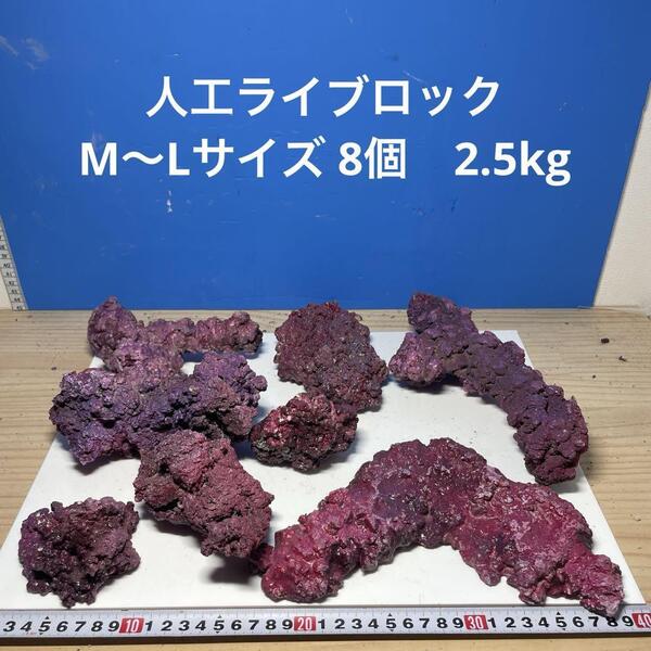 人工ライブロック M〜Lサイズ8個 2.5kgアク抜き済み安心塗料使用