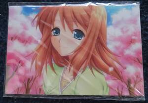 未開封 PS2ソフト 木漏れ日の並木道~移り変わる季節の中で~ 予約特典ポストカード 予約特典/ゲームショップ/非売品/入手困難/年代物