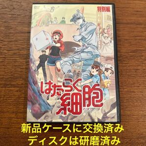 【送料無料】はたらく細胞 特別編 レンタル落ち DVD 研磨クリーニング済み 新品ケース付き