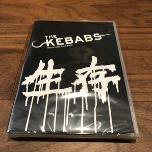 THE KEBABS 生存 受注生産限定DVD 新品未開封 UNISON SQUARE GARDEN 田淵智也 a flood of circle serial TV drama 廃盤