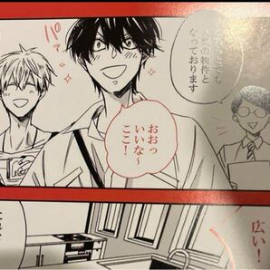 ■ 抱かれたい男1位に脅されています だかいち ■ 9 ドラマCD アニメイト特典 マンガペーパー 特典のみ 桜日梯子 西條高人 東谷准太