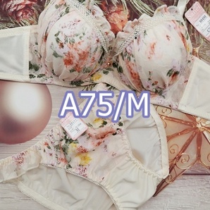 A75009-P A75/M【1点限り商品】ブラ・ショーツセット ランジェリー インナー 下着 脇高ブラジャー