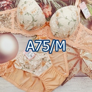 A75013-P A75/M【1点限り商品】ブラ・ショーツセット ランジェリー インナー 下着 脇高ブラジャー