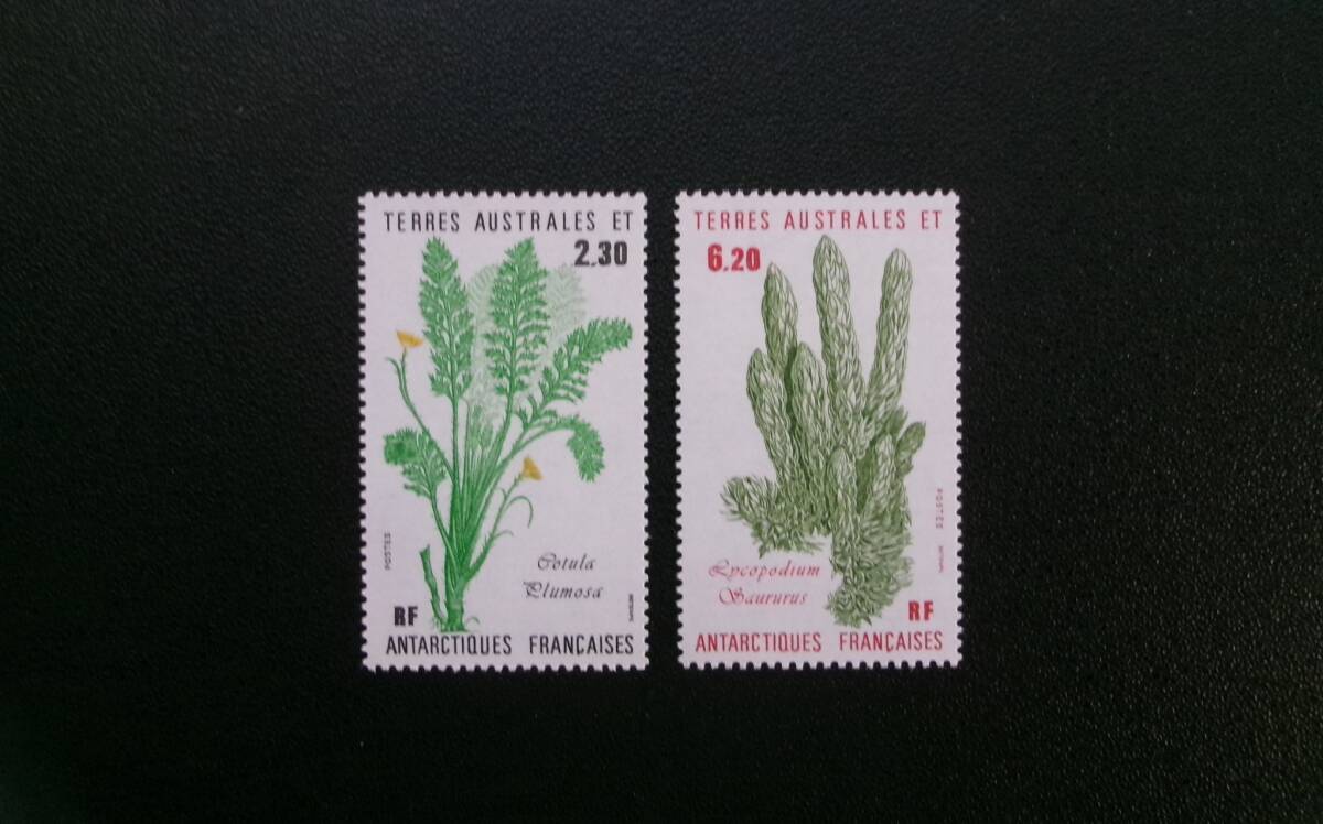 41941現品限り 外国切手未使用 仏領南極地域発行凹版動物4種揃 41941現品限り 外国切手未使用 仏領南極地域発行凹版動物4種