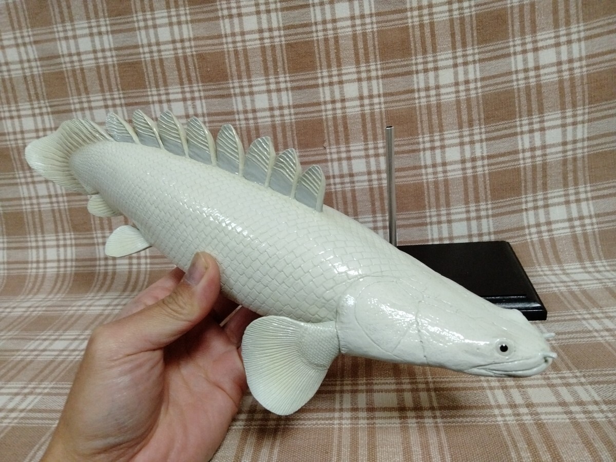 2025年最新】Yahoo!オークション -魚レプリカの中古品・新品・未 2025年最新】Yahoo!オークション -魚レプリカの中古品・新品・未