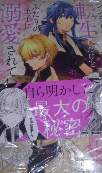 シンデレラの義理姉に転生したけどふたりの王子に溺愛されています 3