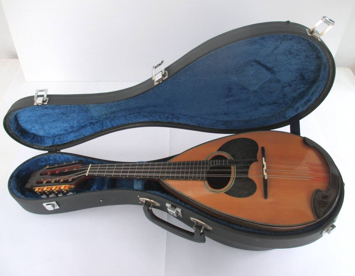 SUZUKI スズキVIOLIN NAGOYA ギター マンドリン MC-835