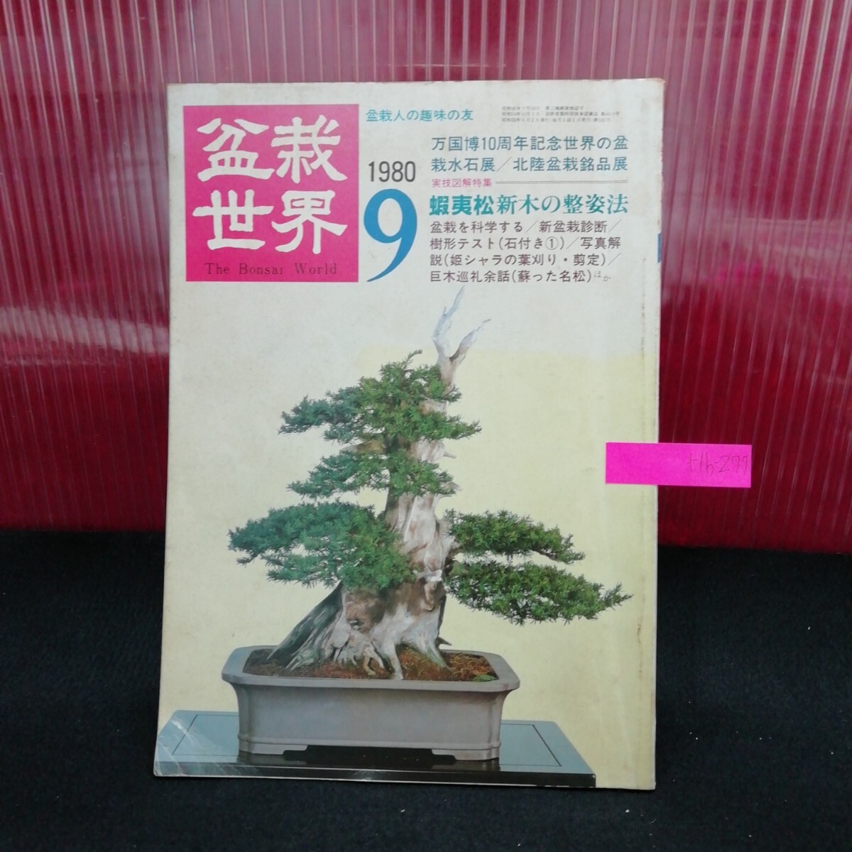 2025年最新】Yahoo!オークション -松 盆栽(本、雑誌)の中古品 2025年最新】Yahoo!オークション -松 盆栽(本、雑誌)の中古品
