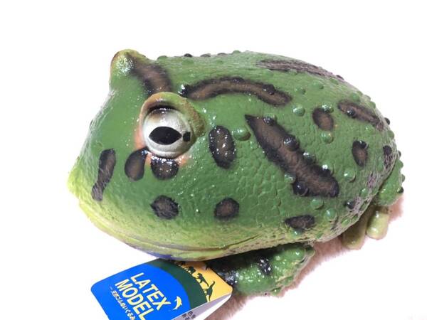 かわいい!!!ラテックス ベルツノガエル カエル ぬいぐるみ