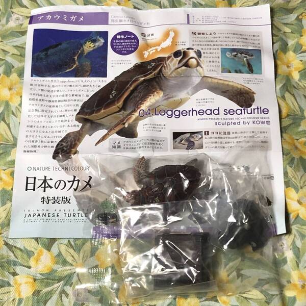 送料無 アカウミガメ 日本のカメ 特装版 ガチャ/ネイチャーテクニカラー/亀/