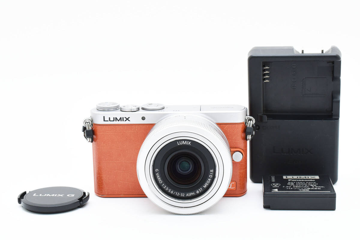2025年最新】Yahoo!オークション -lumix gm1の中古品・新品・未 2025年最新】Yahoo!オークション -lumix gm1の中古品・新品・未