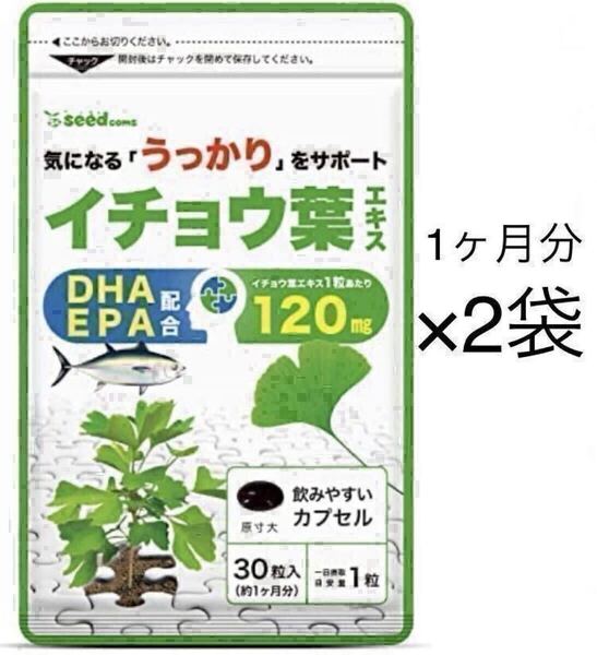 ★送料無料★イチョウ葉エキス 約2ヶ月分(1ヶ月分30粒入り×2袋) シードコムス サプリメント DHA EPA配合 フラボノイド テルペノイド
