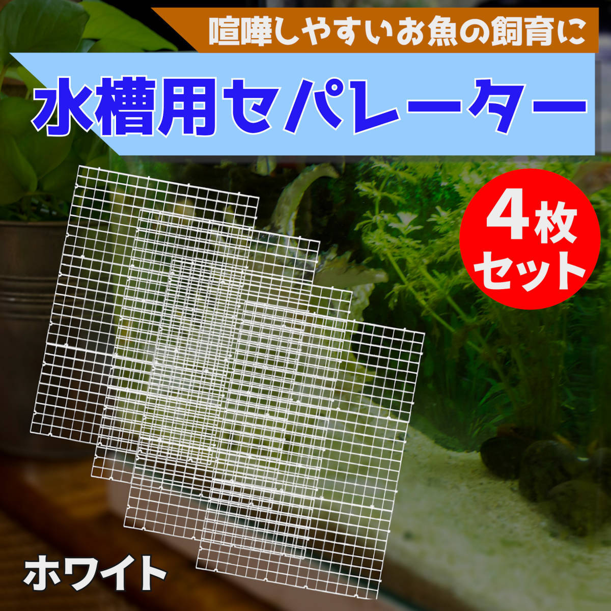 2025年最新】Yahoo!オークション -水槽セパレーターの中古品