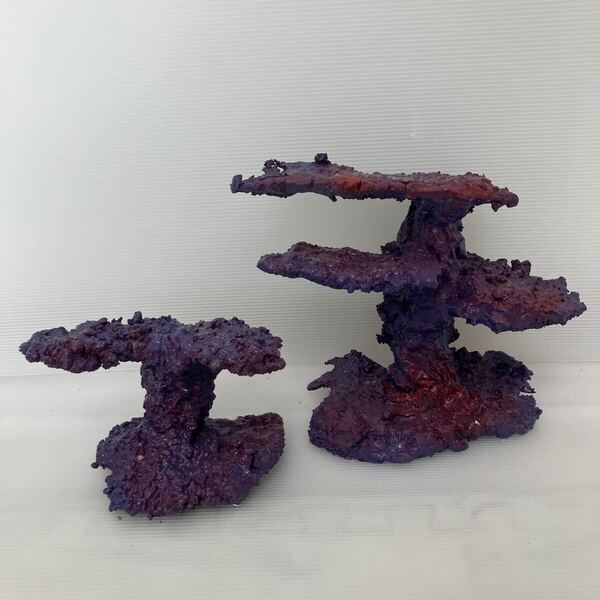 【現物】ライブロックセット No.13(海水魚、サンゴ、バクテリア、背景、レイアウト、水槽)